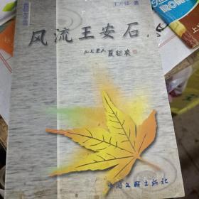 風(fēng)流王安石