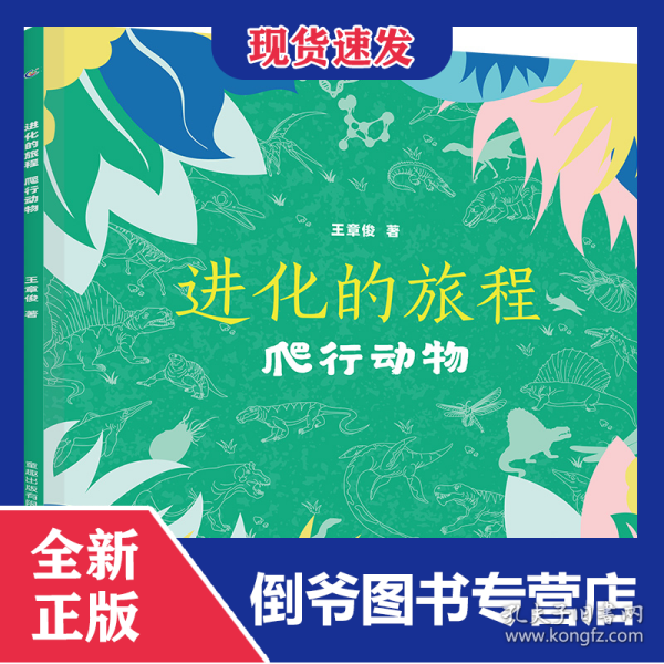 进化的旅程(爬行动物)