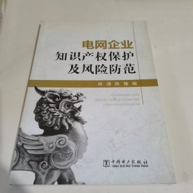 电网企业知识产权保护及风险防范