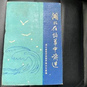 湖北在改革中前进