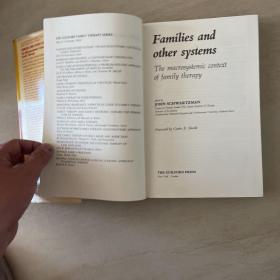 英文原版Families and Other Systems 家庭和其他系统