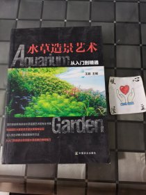 水草造景艺术：从入门到精通