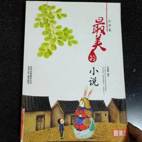 最美书系 小学卷 最美的小说