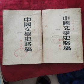 中国文学史略稿(第二三卷，2本合售)（12柜较东）