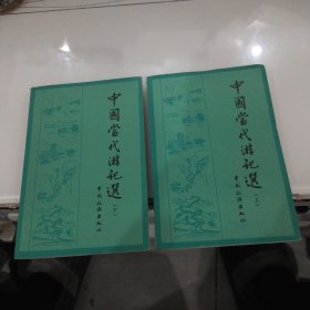 中国当代游记选 上下2册全.