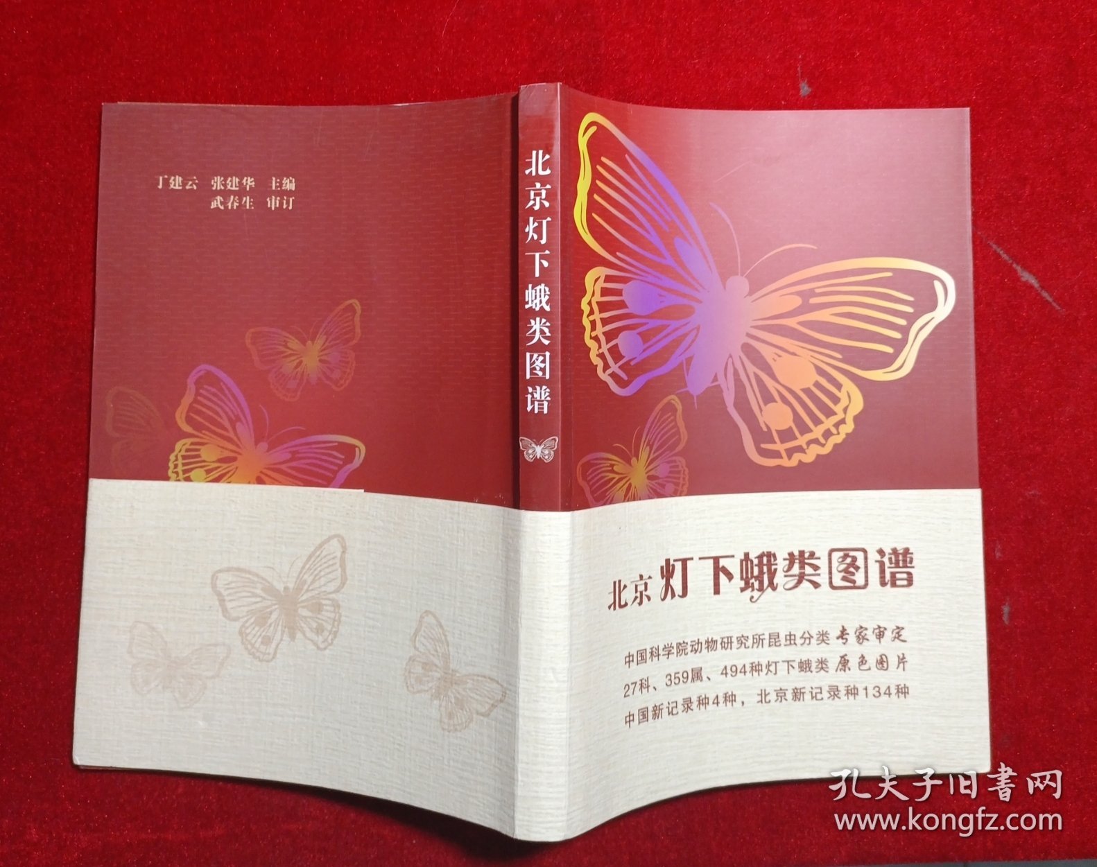 北京灯下蛾类图谱