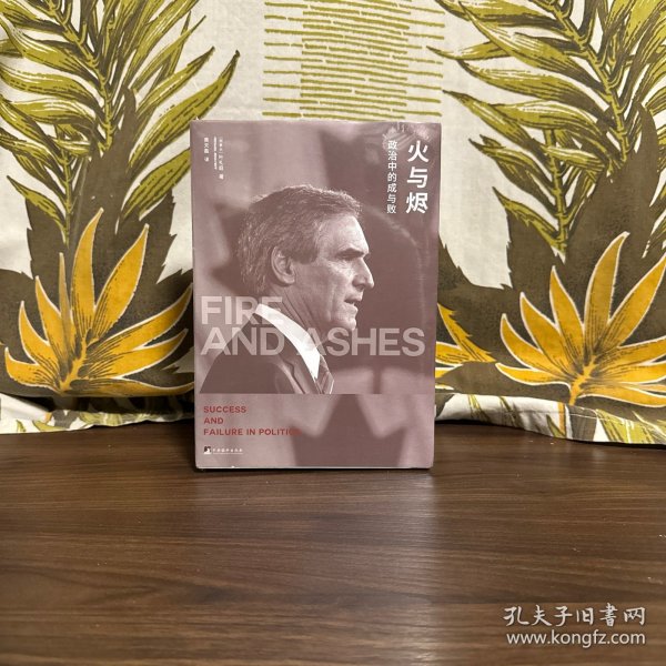 火与烬：政治中的成与败
