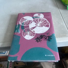 黑塞精选集：在轮下