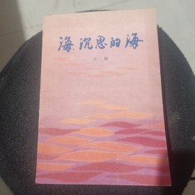 海 沉思的海