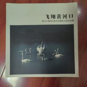 飞翔黄河口 【黄河三角洲鸟类全国摄影大赛作品集】