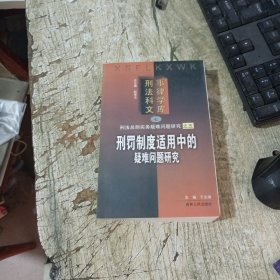 刑罚制度适用中疑难问题研究