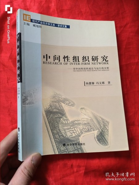 中间性组织研究 ：对中间性组织成长与运行的分析（小16开）