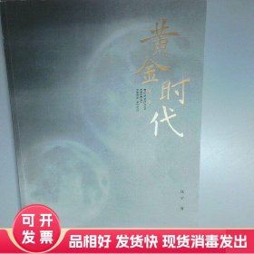 黄金时代 沈宁  沈宁 安徽美术出版社
