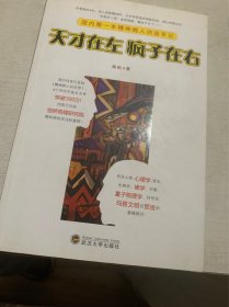 天才在左 疯子在右：国内第一本精神病人访谈手记