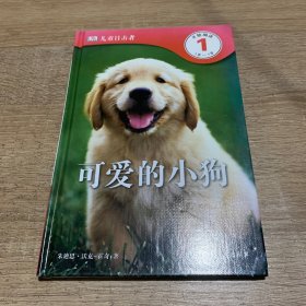 DK儿童目击者·第1级（全20册.精装）