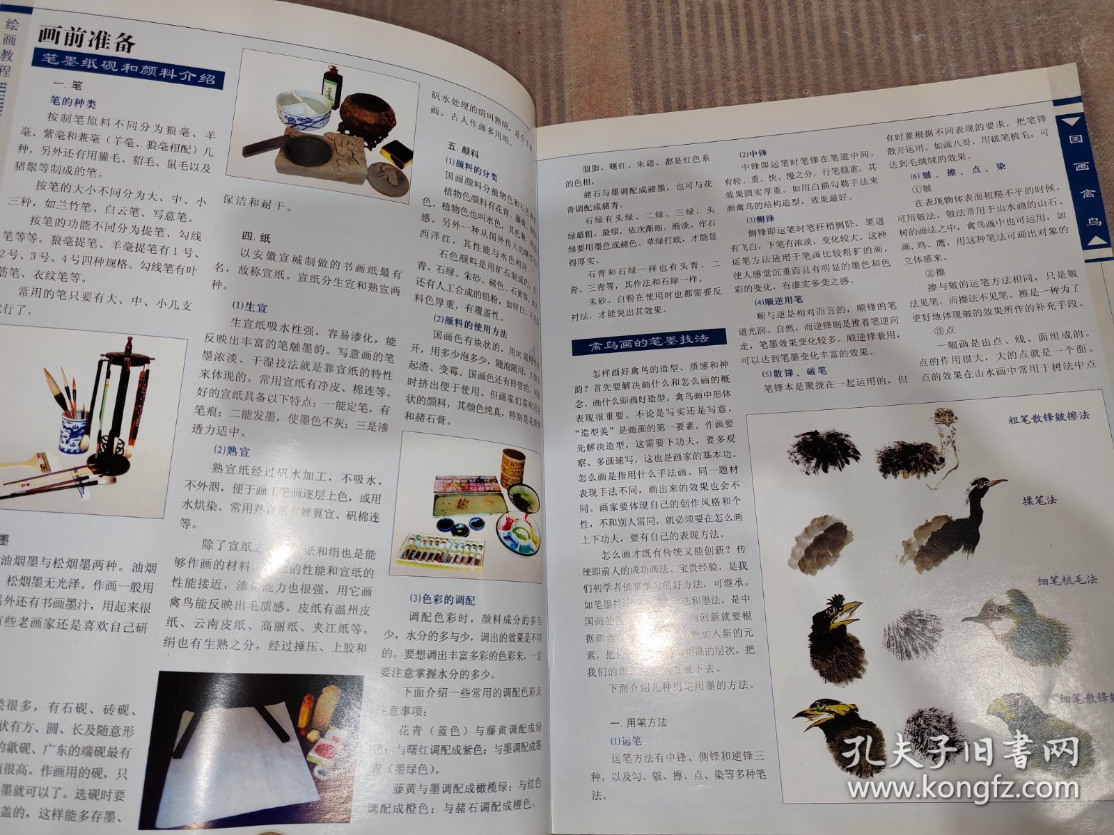 绘画教程：国画禽鸟