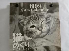 猫日历台历，1999 cats calendar, a cat a day