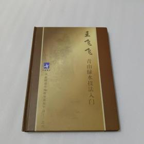 王飞飞青山绿水技法入门 DVD 光盘6张，书画频道电视教学系列节目之六