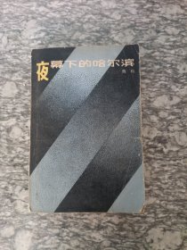 夜幕下的哈尔滨 下
