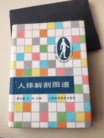 人体解剖图谱