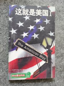 《这就是美国》1～4册全