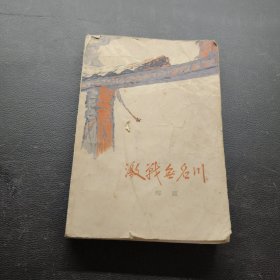 激战无名川