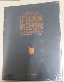 江汉泱泱商邑煌煌——盘龙城遗址陈列图录（全新未拆封）