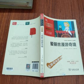 爱丽丝漫游奇境 无障碍阅读 彩插励志版（中小学生阅读指导丛书）