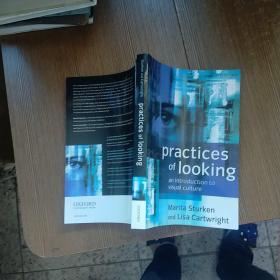 Practices of Looking：An Introduction to Visual Culture  外文版   实物拍图 现货 无勾画  首页个人签名