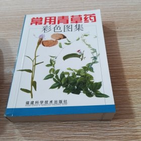 常用青草药彩色图集