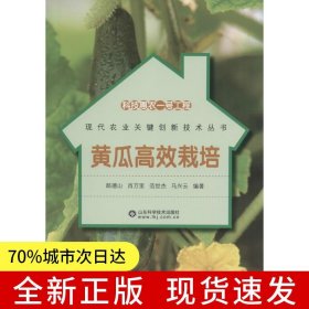 科技惠農(nóng)一號(hào)工程—黃瓜高效栽培