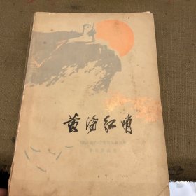 黄海红哨