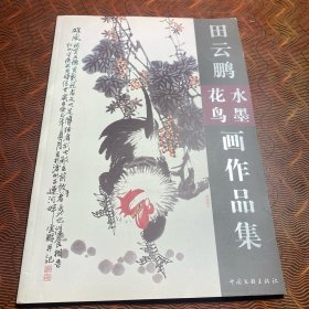 田云鹏水墨花鸟画作品集