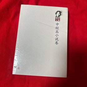 张洁文集：中短篇小说卷