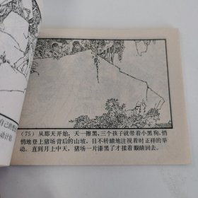 精品连环画套书：《龙洞擒贼》