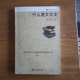 什么是文化史：历史学的实践丛书