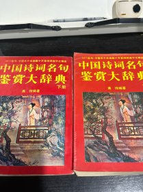 中国诗词名句鉴赏大辞典