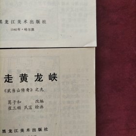 武当山传奇 全12本合售