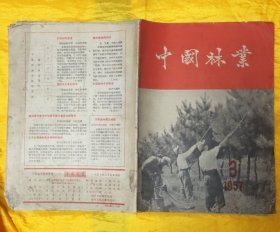 中国林业(1957年第3期