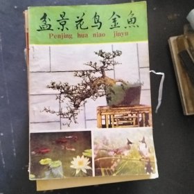 盆景花鸟金鱼