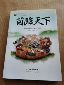 菌临天下：云南野生食用菌美食荟萃