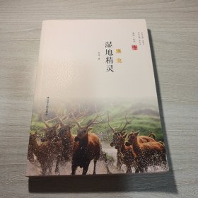 湿地精灵：麋鹿