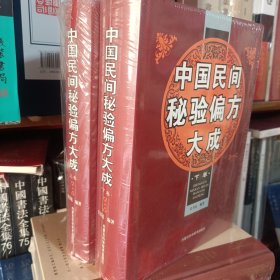 中国民间秘验偏方大成 上下册