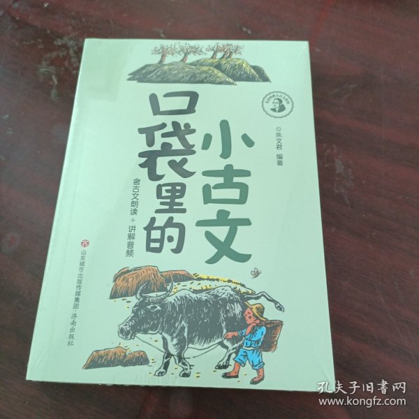 口袋里的小古文/朱老师教小古文系列