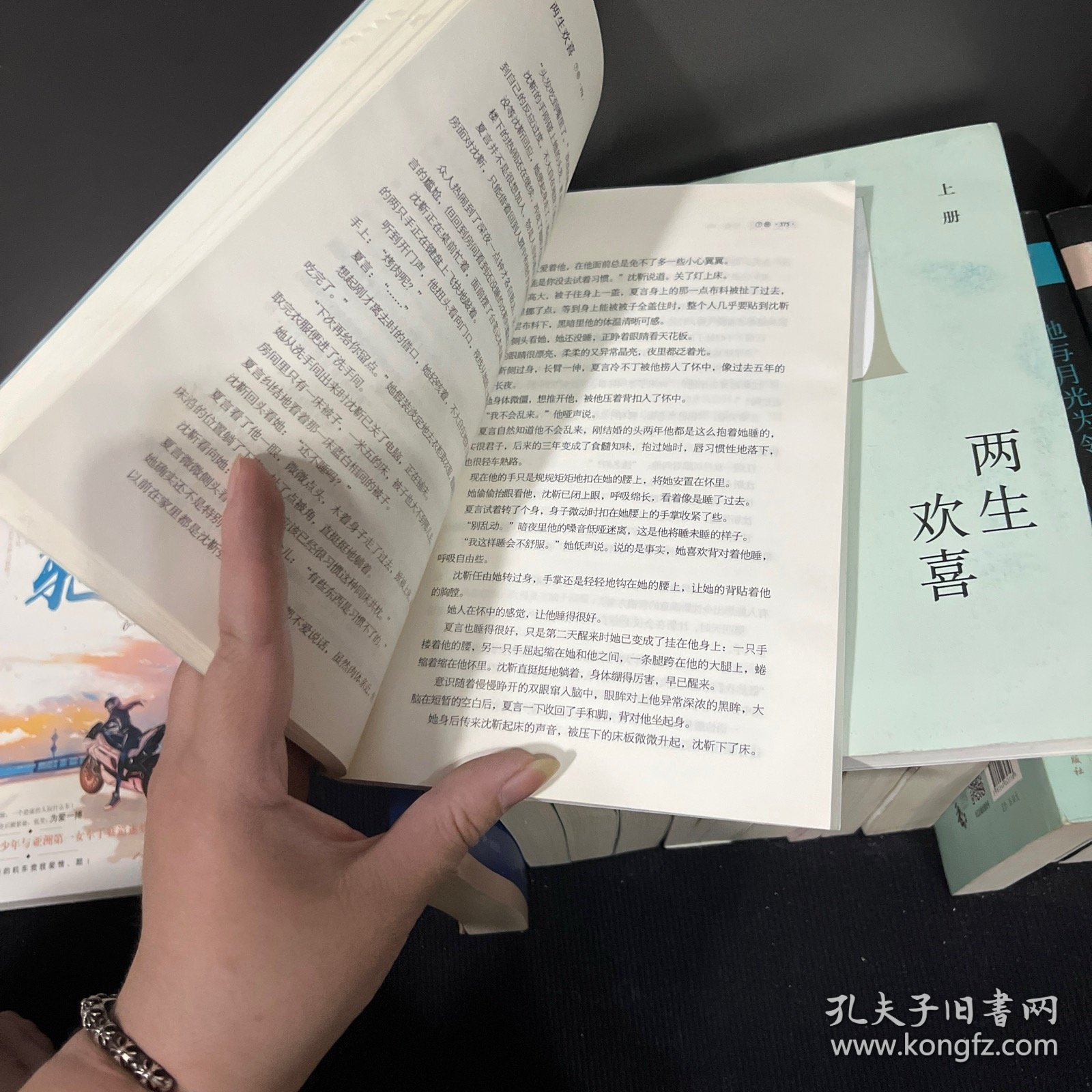 两生欢喜（上下）