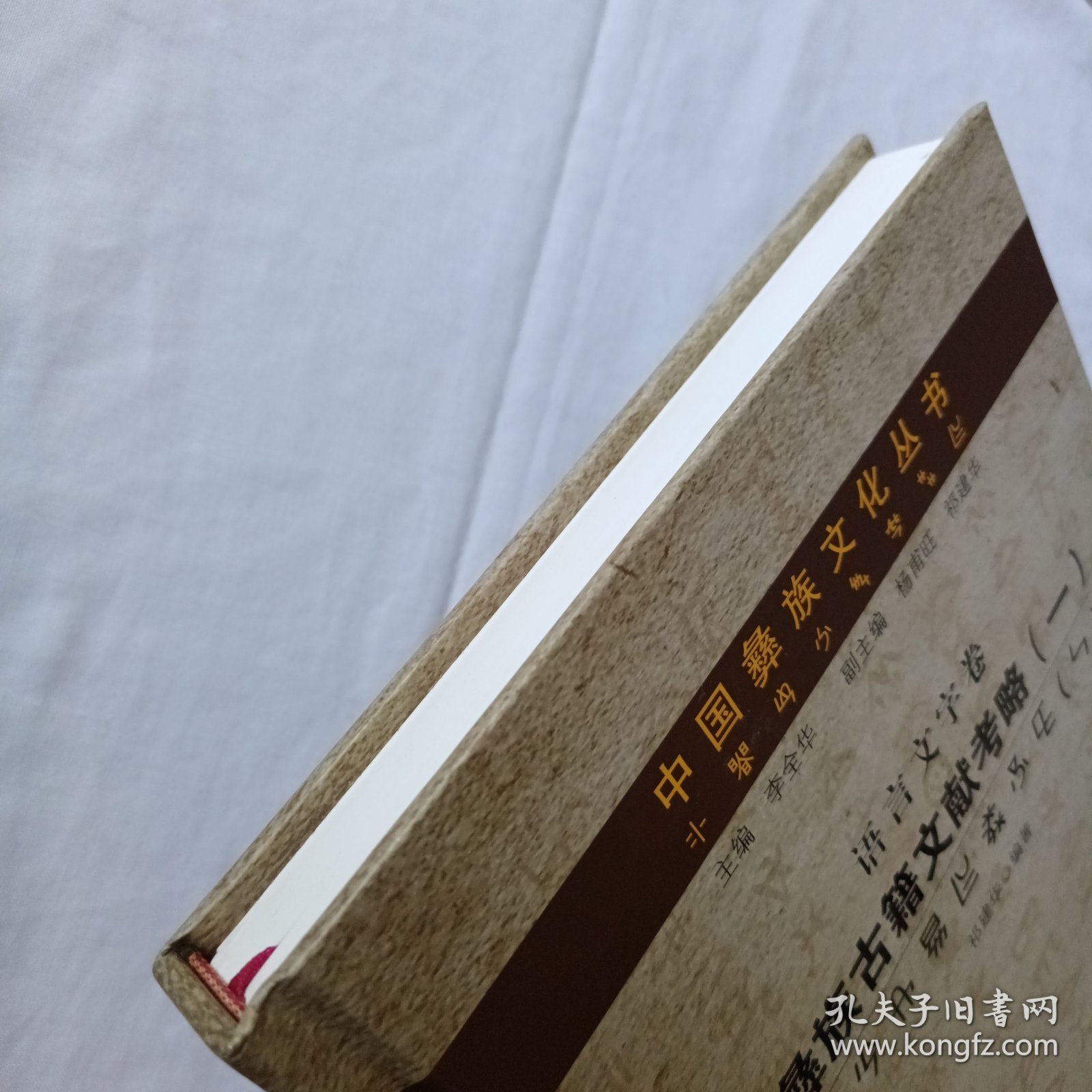 中国彝族文化丛书·语言文字卷：彝族古籍文献考略（一）