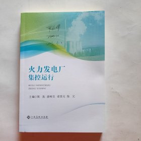 火力发电厂 集控运行