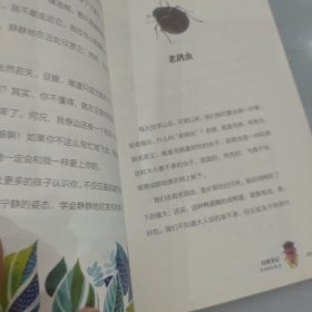 自然笔记（Vol 1.1）：昆虫印象