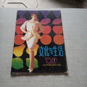 文化与生活1990  1