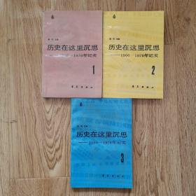 历史在这里沉思，1966一1976年纪实